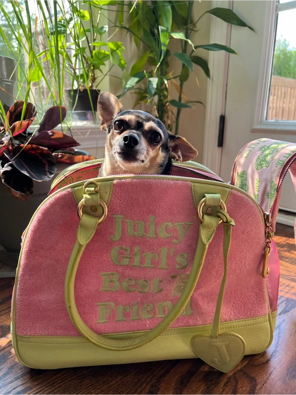 Vintage Juicy Couture pink and green Girl's Best Friend dog carrier